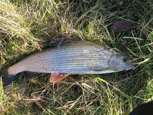 User submitted picture: This was a glorious day, ...