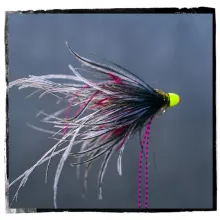 User submitted picture: Some tube for spring