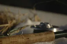 User submitted picture: Just a neat picture of on...