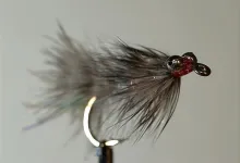 User submitted picture: Killing eyes.

"GrÃ¥ Fr...