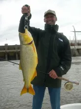 User submitted picture: 13 lb freshwater Dorado (...