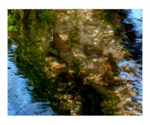 User submitted picture: friends