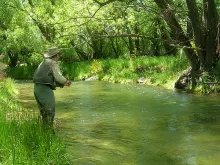 User submitted picture: Surrounded by green.  