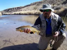 User submitted picture: Brown caught in a Utah st...