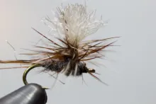 User submitted picture: Size 20 Parachute Adams u...