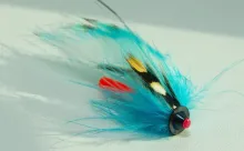 User submitted picture: Zonker