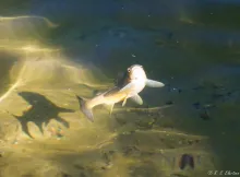 User submitted picture: Focus....