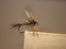 User submitted picture: Dry