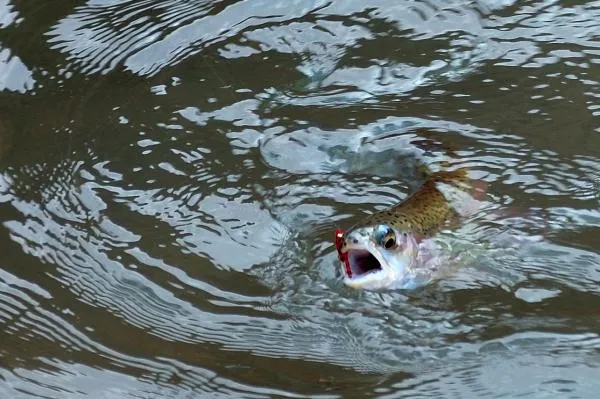 User submitted picture: Rainbow on a San Juan Wor...