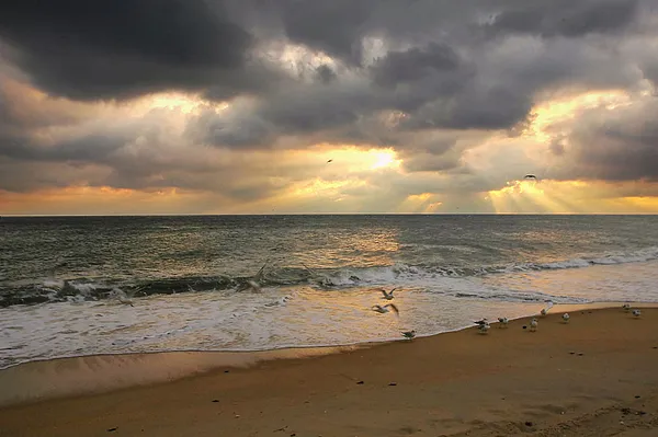 User submitted picture: Heading out at sunrise